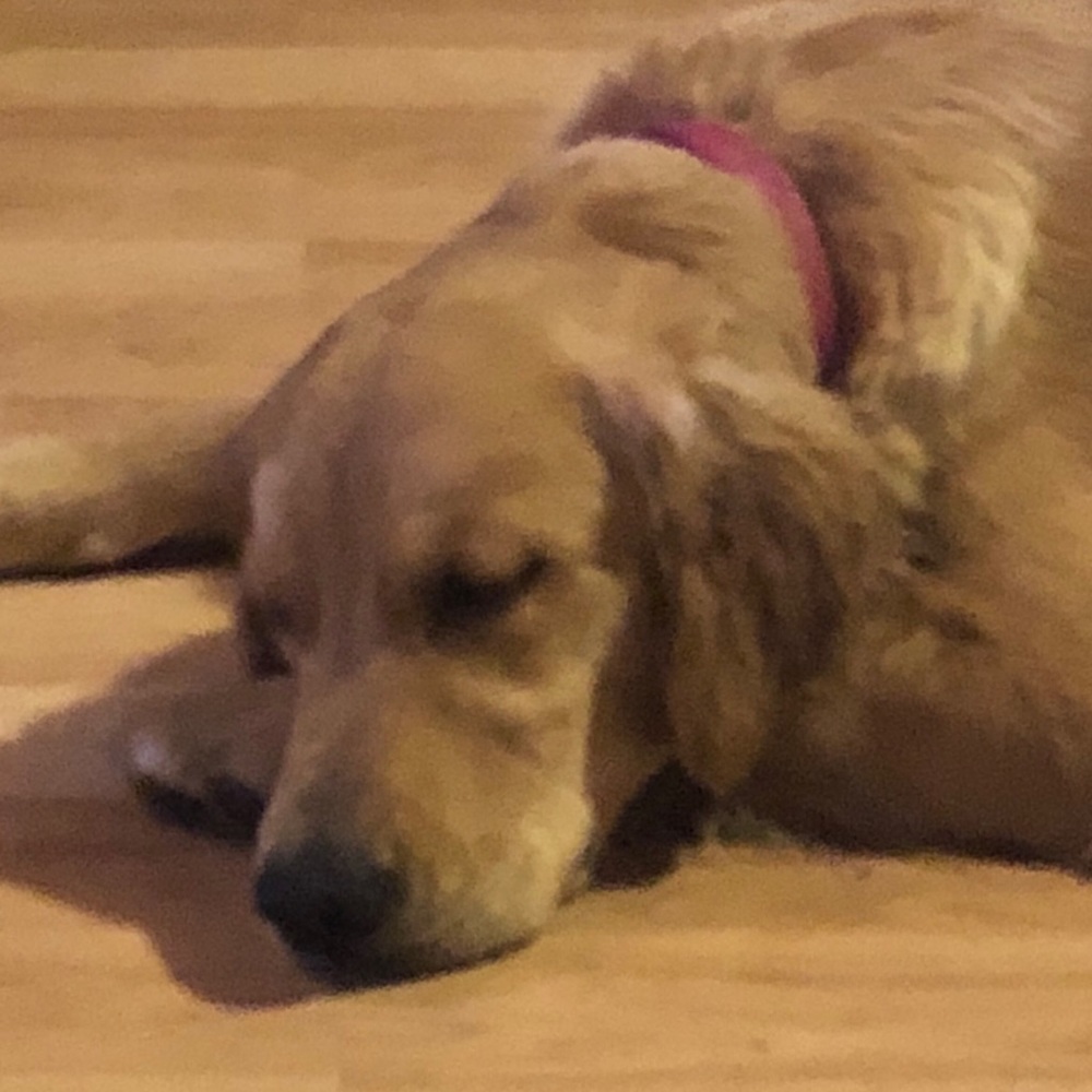 Meet your Posher, Chelsey